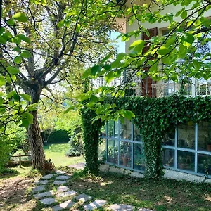 Chicco Di Oliva Villa